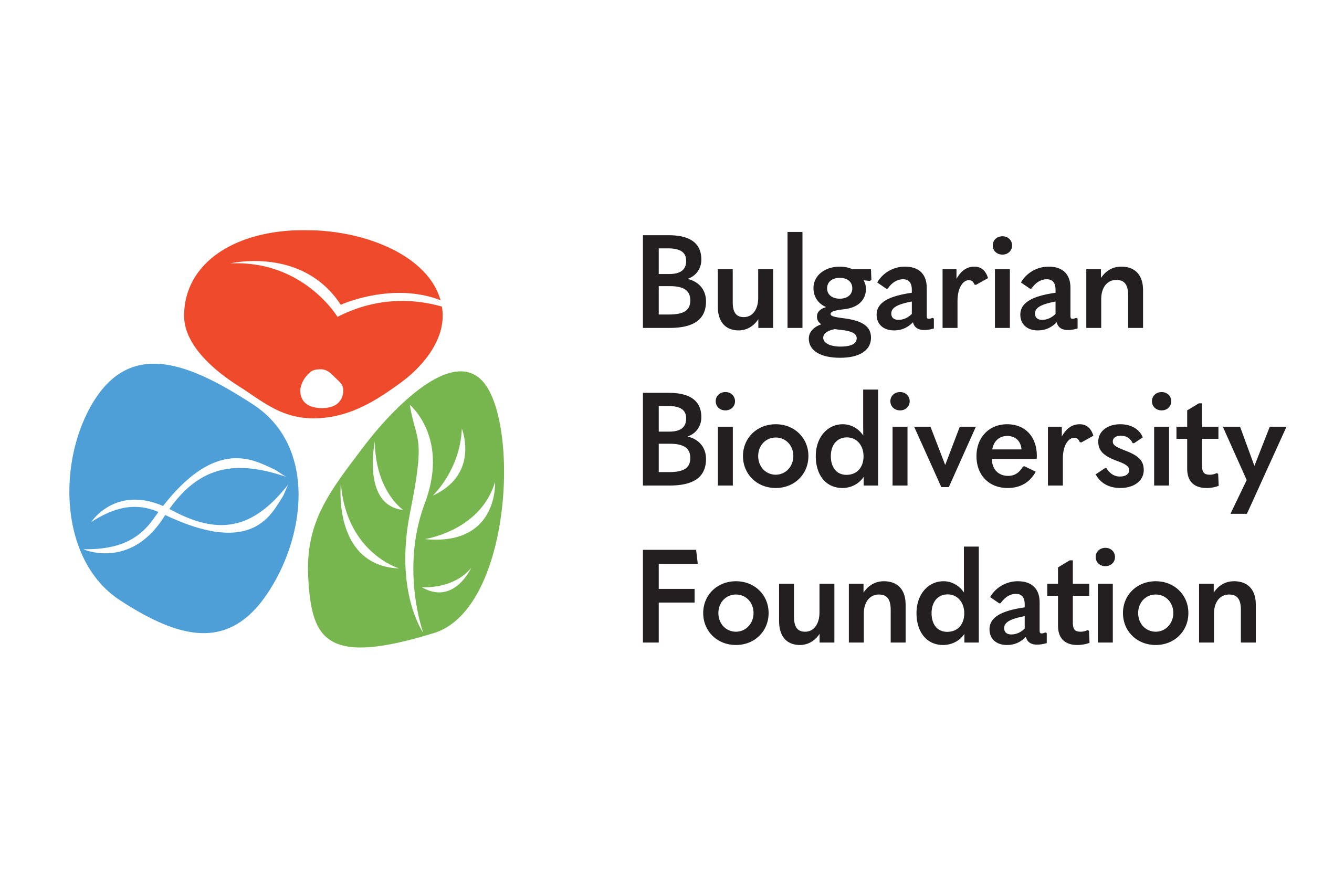 logo-bbf