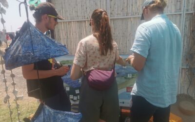 Ecoguardians at the Marseillan Youth Festival